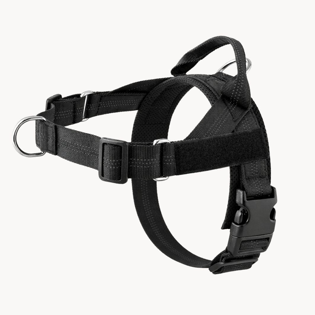 The No-Pull Harness - Finally, Walks Without the Fight !