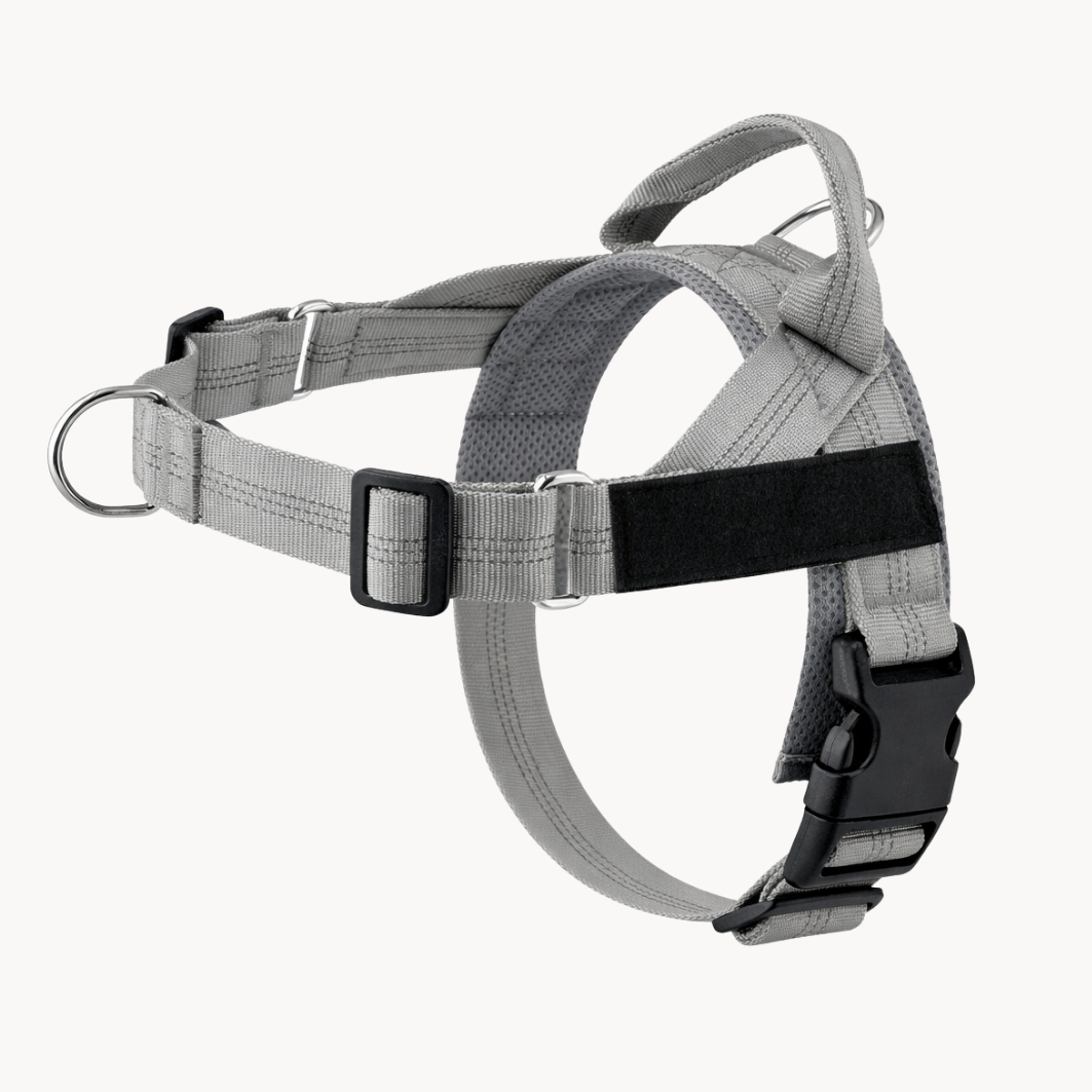 The No-Pull Harness - Finally, Walks Without the Fight !