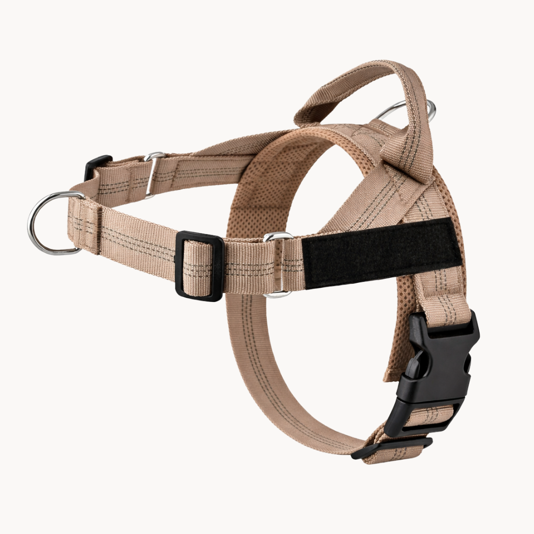 The No-Pull Harness - Finally, Walks Without the Fight !
