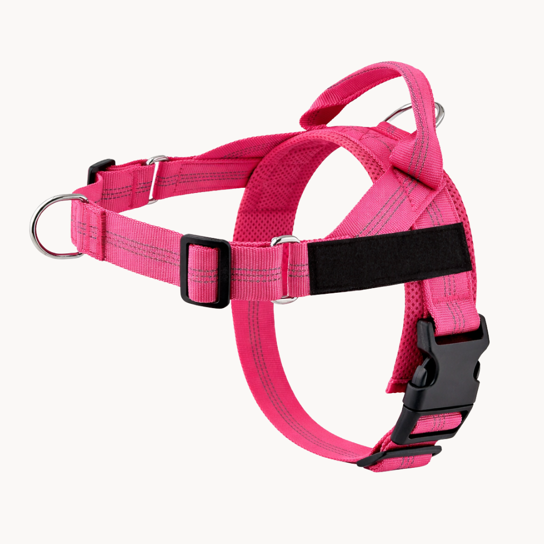 The No-Pull Harness - Finally, Walks Without the Fight !