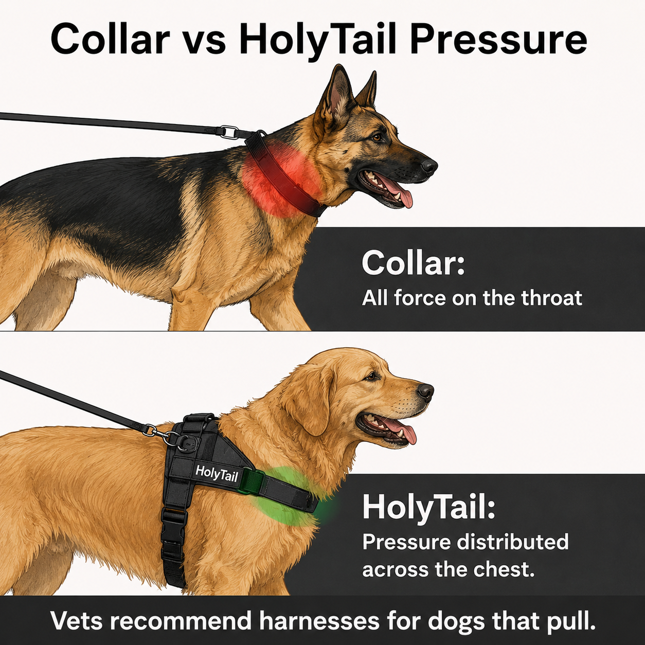 The No-Pull Harness - Finally, Walks Without the Fight !