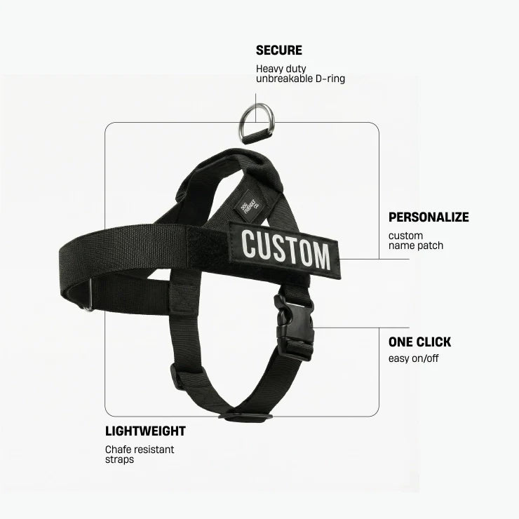 The No-Pull Harness - Finally, Walks Without the Fight !