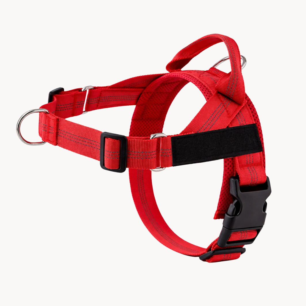 The No-Pull Harness - Finally, Walks Without the Fight !