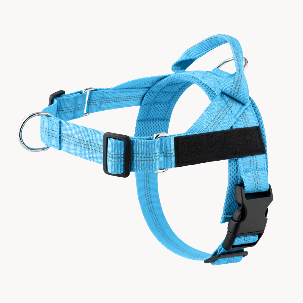 The No-Pull Harness - Finally, Walks Without the Fight !