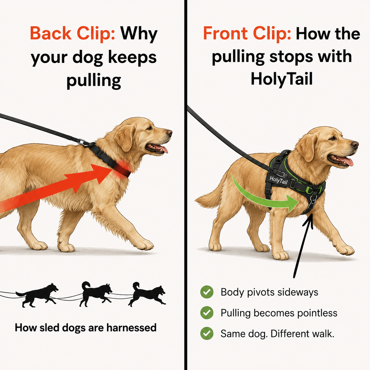 The No-Pull Harness - Finally, Walks Without the Fight !
