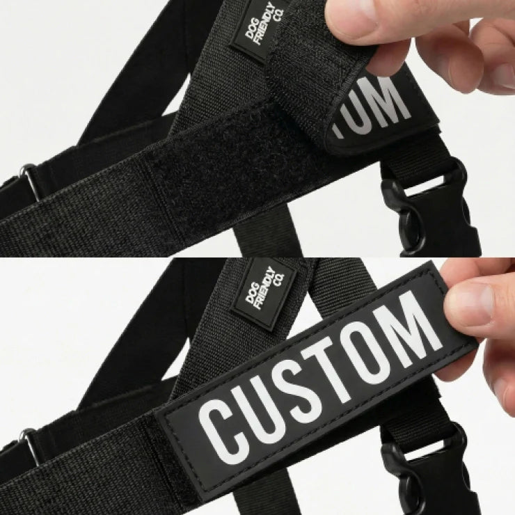 The No-Pull Harness - Finally, Walks Without the Fight !